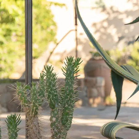 Spelonca Feriehus Corbara