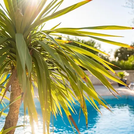 Spelonca * Корбара