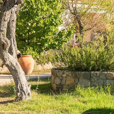 Spelonca Holiday home *