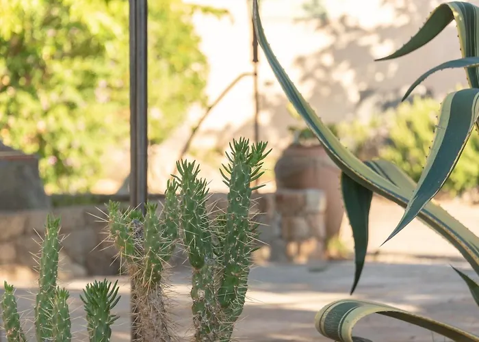 Spelonca Vakantiehuis Corbara